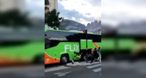 Koffers worden uit rijdende Flixbus gestolen in Frankrijk…