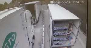 Vrachtwagen met planten lossen gaat niet helemaal goed…