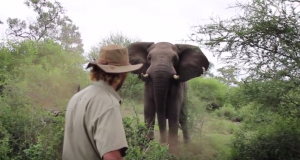 Op safari gaan 2.0…